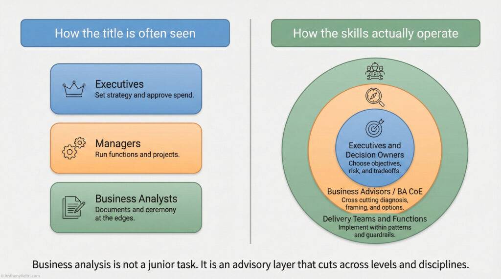 A diagram contrasts traditional job titles with actual skill operation. Left: vertical boxes for Executives, Managers, Business Analysts. Right: nested circles showing skill overlap among Executives, Owners, Advisors, and Delivery Teams.