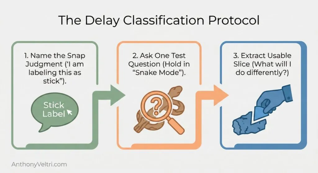 This diagram illustrates the three-step Delay Classification Protocol for clear decision-making in complex workflows.