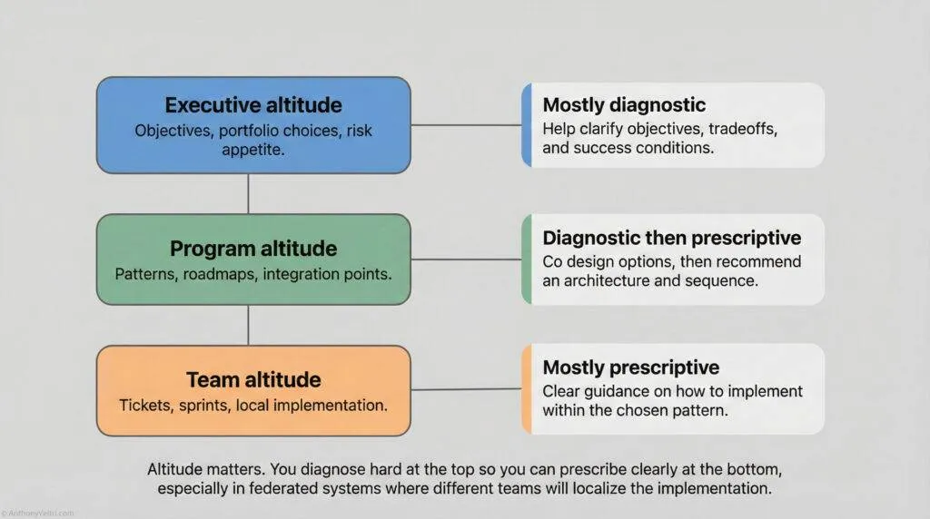 A flowchart illustrating "Executive altitude," "Program altitude," and "Team altitude," each linked to corresponding descriptions about their focus: diagnostic, prescriptive, or both in organizational implementation.