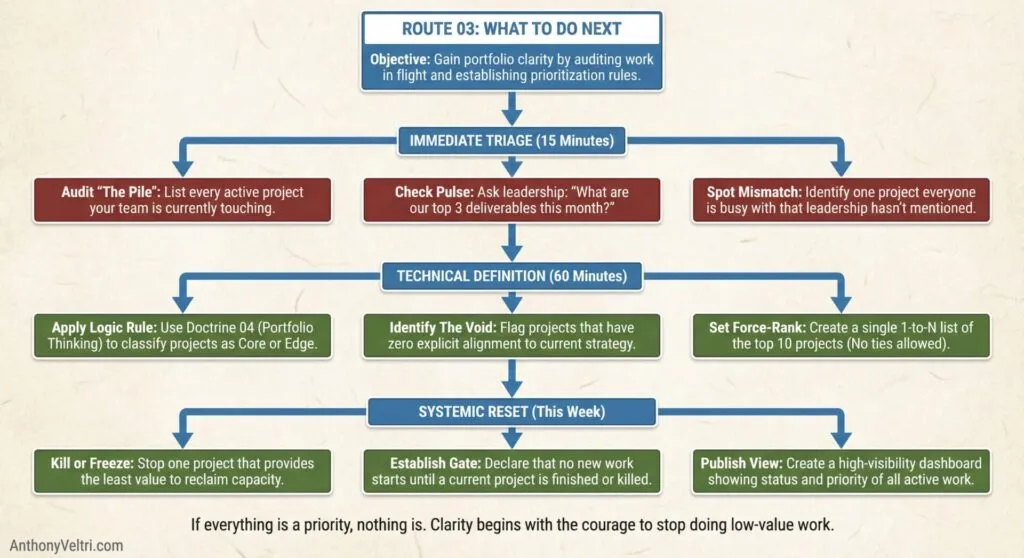 This diagram illustrates how project portfolio audits may progress through triage, technical review, and systemic improvement steps.