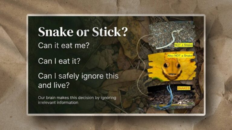 This diagram illustrates how the brain prioritizes ambiguous threats, quickly discounting irrelevant details for survival.