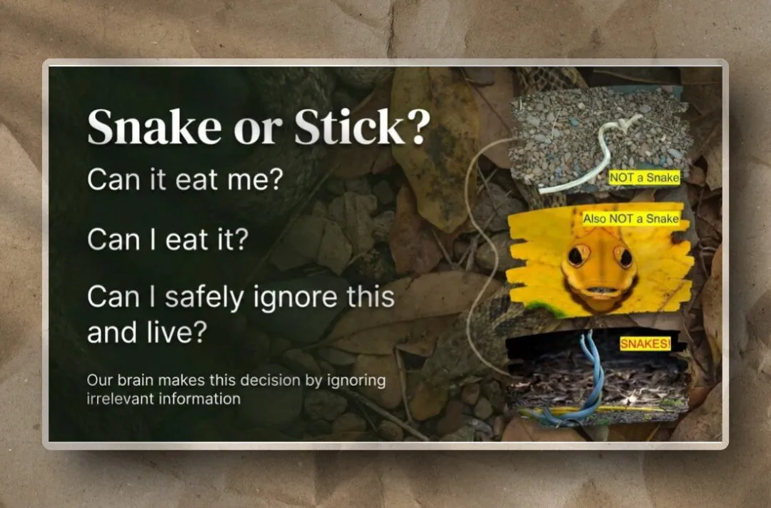 This diagram illustrates how the brain prioritizes ambiguous threats, quickly discounting irrelevant details for survival.