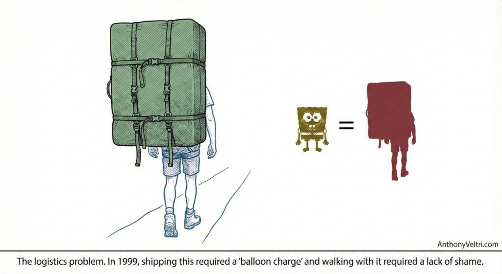 This diagram illustrates, through visual humor, the comparable burdens of shipping and shame using familiar cartoon references.
