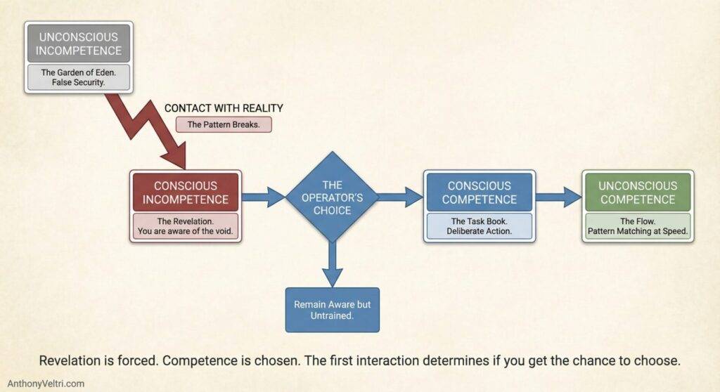 This diagram illustrates four stages of competence, indicating typical progress and decision points as described in the note below.