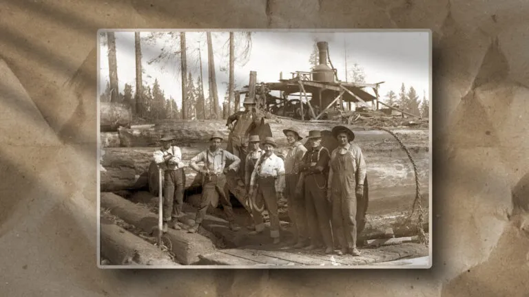 This sepia-toned image highlights early logging practices, as seen by seven men on felled logs amid equipment and pine trees.