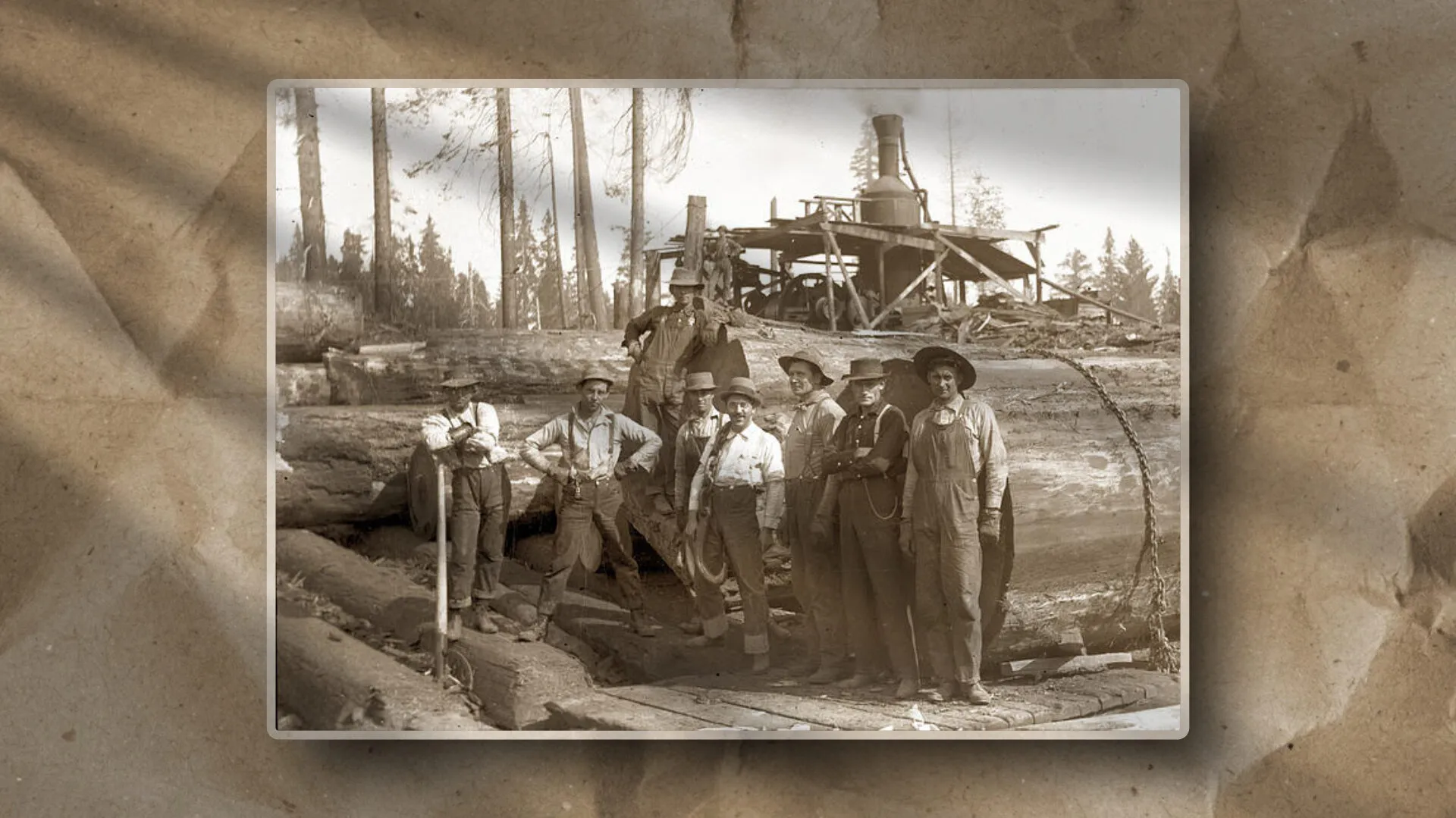 This sepia-toned image highlights early logging practices, as seen by seven men on felled logs amid equipment and pine trees.