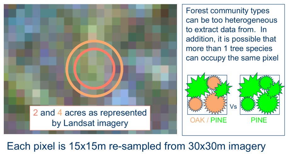 A pixelated, colorful grid shows a landscape with two concentric circles labeled "2 and 4 acres as represented by Landsat imagery." Text explains pixel sizes and tree species overlap. An inset compares mixed-species pixels versus single-species pixels.