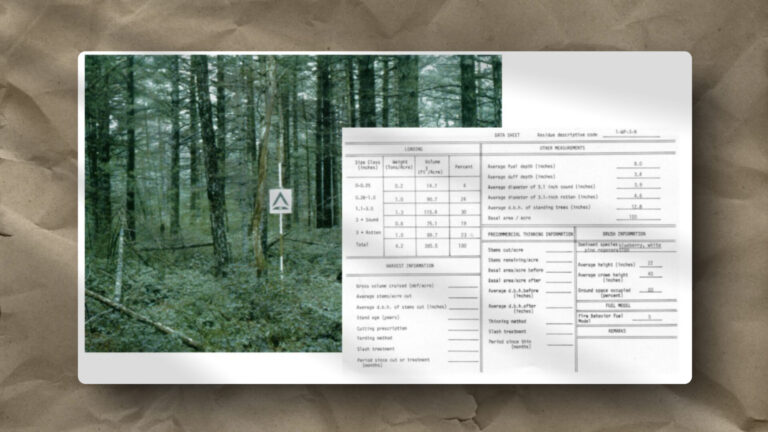 A photograph of a dense, green forest with tall trees and a camping sign in the center. Over the image, a semi-transparent document displays tables of forest measurements and data, partially covering the right side of the photo.