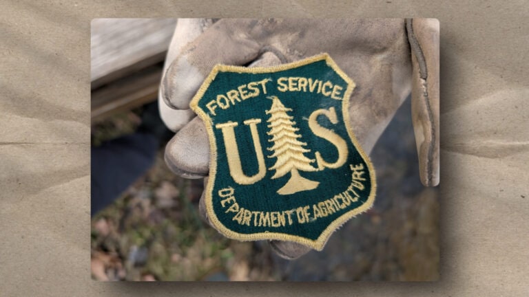 A gloved hand holds a US Forest Service patch, featuring a yellow edge, green background, gold lettering, and a large pine tree; the text reads “Forest Service, Department of Agriculture.” Blurred leaves and wood are visible in the background.
